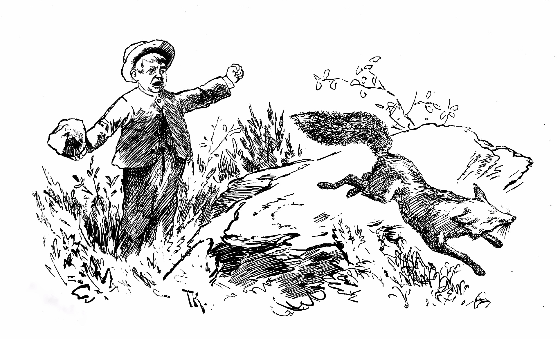 A boy scares a fox, which runs away.